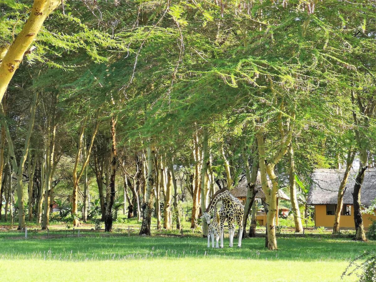 Africa Safari Camping Mto Wa Mbu ภายนอก รูปภาพ